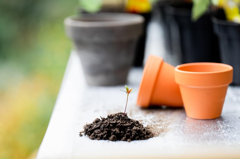 Gardening Image